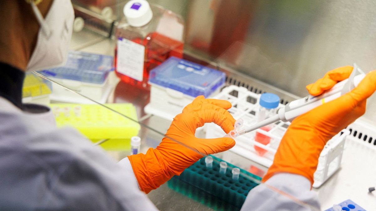 Virologové v Německu doporučují očkovat proti opičím neštovicím